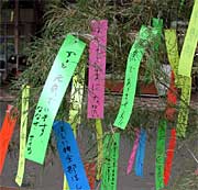 七夕飾りに下がる願いを込めた短冊