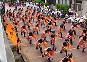 燕舞会