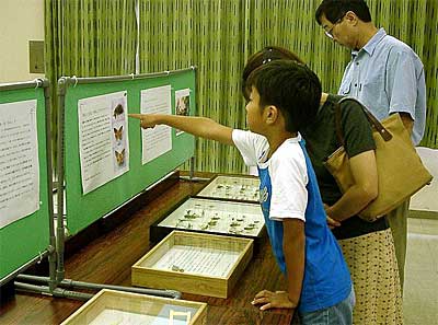 標本75箱、4,000体を展示する夏休みドキドキ昆虫館