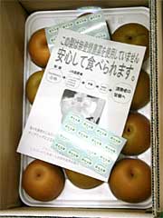 ナシのケースに入れた安全宣言文と安全シール