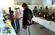 三条バラ愛好会の展示