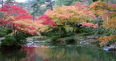 9日の弥彦・もみじ谷は雨が紅葉を輝かせた