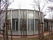 燕市交通公園に仮り植えされた燕ロータリークラブが寄付したドングリのなる木