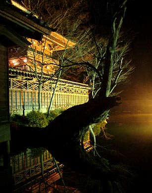 ライトアップした本成寺の鐘楼堂