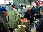 活気づく三条中央青果卸売市場
