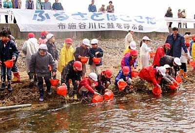 布施谷川に鮭を呼ぶ会が地元児童と布施谷川でサケの稚魚を放流
