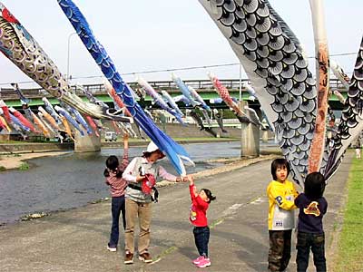 加茂川上空を泳ぐ約500匹のコイのぼり