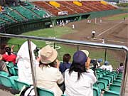 スタンドから声援を送る保護者