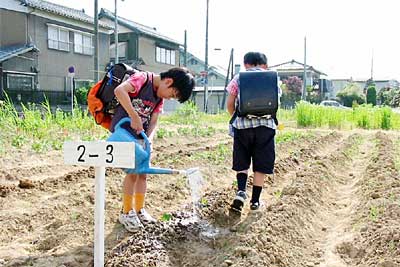 猛暑のなかでポプラ農園で水やりする一ノ木戸小学校児童