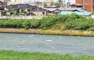 強風で白波が立った20日の燕市・中ノ口川
