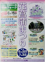花菖蒲まつりのポスター