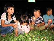 夜空の下で花を摘む子どもたち