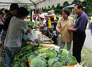 新鮮な野菜の即売コーナー