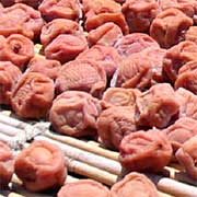 見ているだけでつばが出てきそうな、びっしり並んだウメ干し