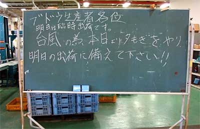 大島選果場の黒板で生産者にブドウの夕もぎを呼びかけ