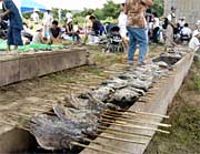つかみどりしたニジマスは、その場で塩焼きに