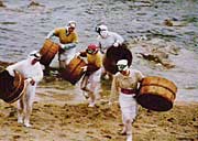 村上市野潟の海女