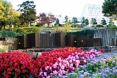 11日に秋の保内公園まつりが開かれる三条市保内公園