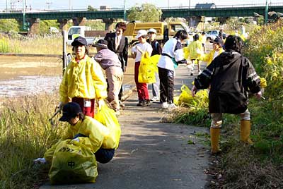 五十嵐川左岸を清掃する三条市立四日町小5年生