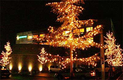 富永草野病院のモミの木のイルミネーション