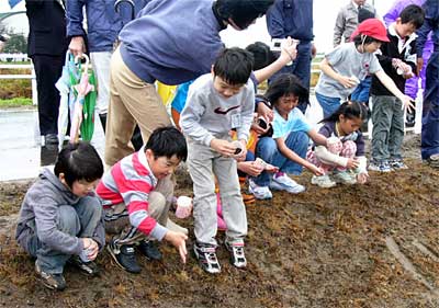 新荒井川排水路沿いの農道の斜面で種まきする松永小学校児童