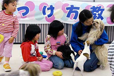 ホームセンタームサシ三条店ペット館のイネやネコと接し方を学べるふれ合い教室