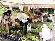 登山道入り口で毎日開かれている山花会による売店