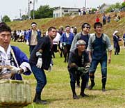 青空に優雅に舞う六角凧と対照的に合戦上ではけんが腰の戦い