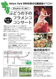 「がんばろって三条!!ぶどうの下のフラメンココンサート」のちらし