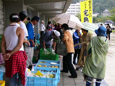 19日、三条市民球場で初めて開かれた「しみん朝市」