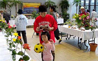 17日まで三条保内公園緑の相談所で開かれている第6回秋のバラ展