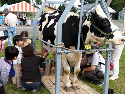 2日、新潟県農業総合研究所畜産研究センターで行われた畜産研究センターふれあい開放デーのウシの乳しぼり