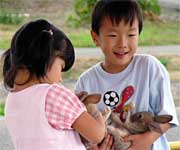 子どもたちに人気だったウサギ