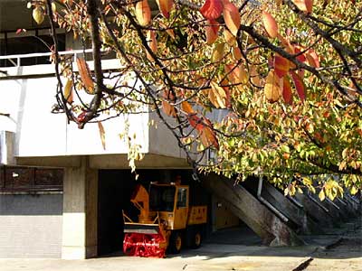 紅葉したサクラに囲まれた三条市厚生福祉会館駐車場には早くも歩道除雪車が待機