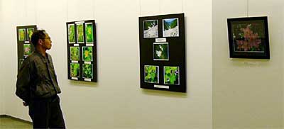 パルム1で開かれている高山植物・花写真展