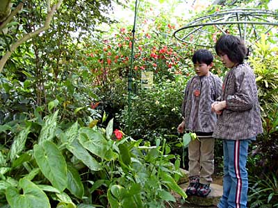 外は雪でも保内公園熱帯植物園はジャングルのように緑が生い茂る