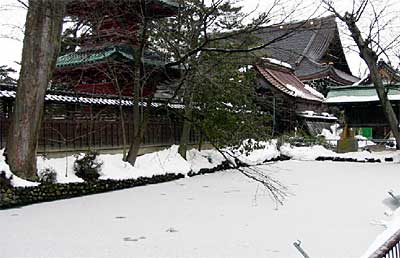 氷が張った上に雪がうっすらとのる本成寺の外堀の池