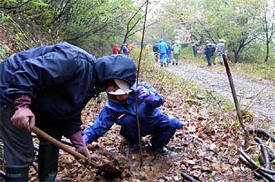29日、雨降る中で行われた三条市合併記念植樹祭
