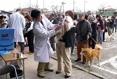 12日昼に三条市厚生福祉会館で行われた狂犬病予防注射