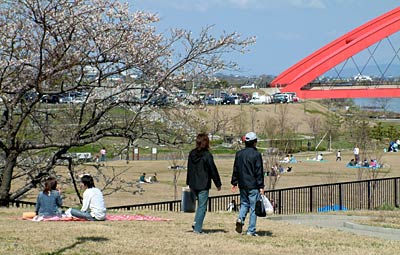 思い思いに過ごす花見客でにぎわう分水公園
