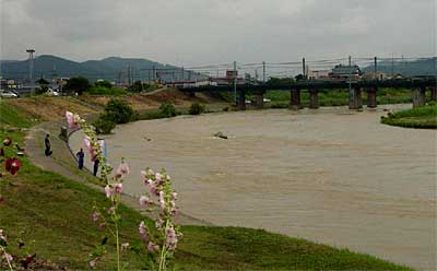 29日午後2時43分、昭栄大橋上流で上流に向かって撮影