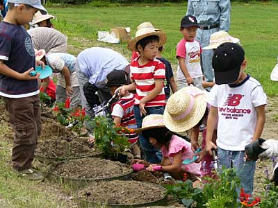 20日行われた六ノ河川緑地でのクリーン作戦で花の苗を植える三条保育所年長児