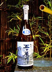 50本限定販売の「五十嵐川蔵出し原酒」