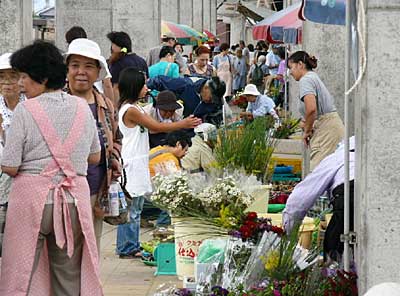 盆用品を買い求める市民でにぎわった12日の盆市