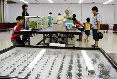 20、21の2日間、三条市中央公民館で開かれている「夏休みドキドキ昆虫館」