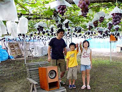 9月いっぱい観光果樹園を開いている渡辺果樹園