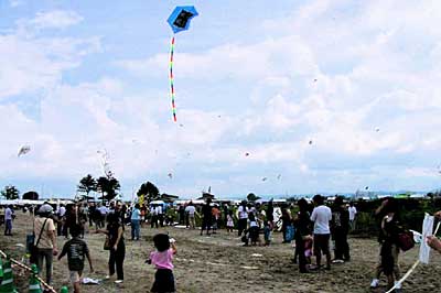 19日、三条競馬場跡地で開かれた全国紙鳶（凧）揚げ大会