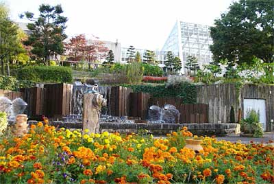 23日、秋の保内公園まつりが開かれる保内公園