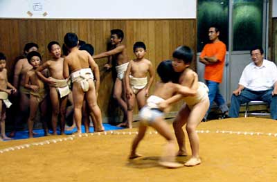 15日、下田体育館相撲場で開かれた第1回三条市子ども相撲大会