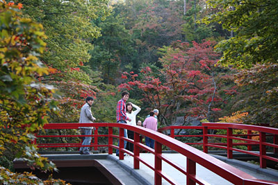 30日、紅葉の始まった弥彦公園